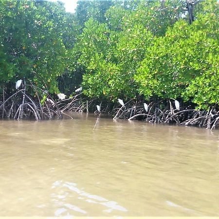 Mida Creek Nature Camp Watamu Exterior photo