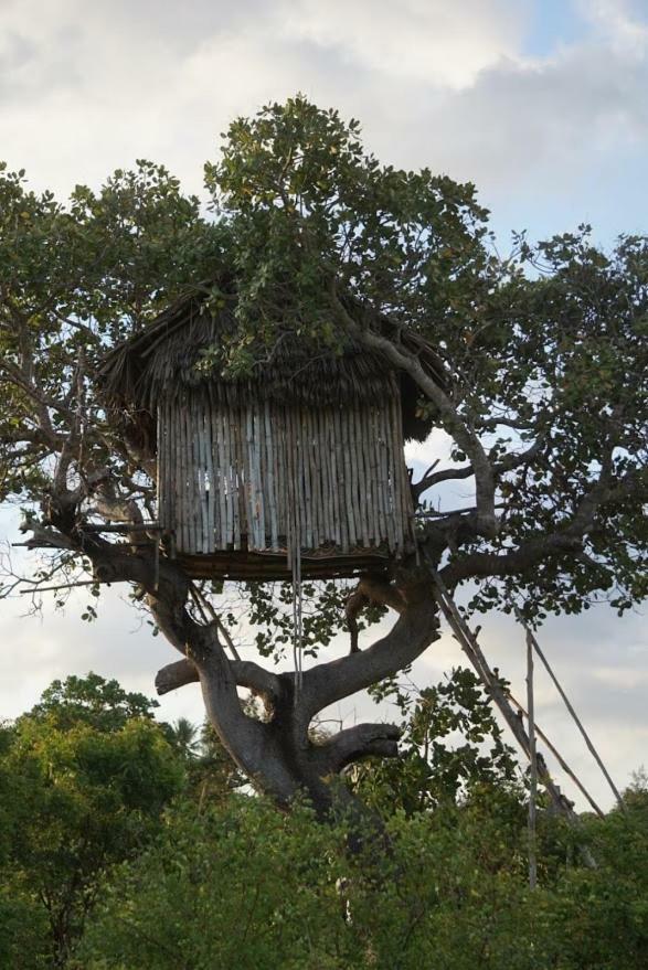 Mida Creek Nature Camp Watamu Exterior photo