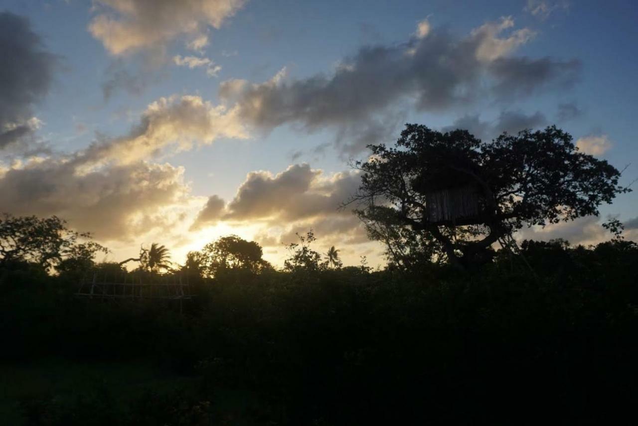 Mida Creek Nature Camp Watamu Exterior photo
