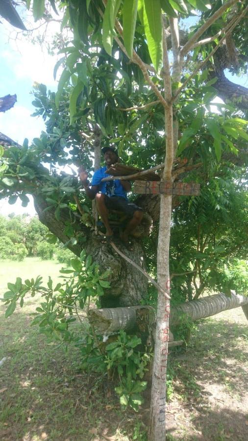 Mida Creek Nature Camp Watamu Exterior photo